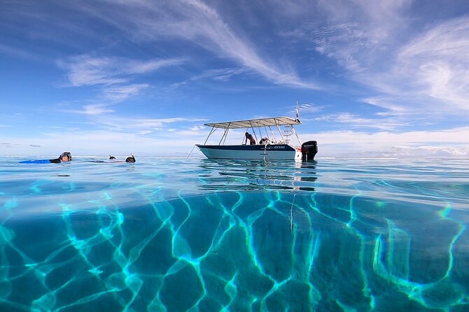 3h dolphin and snorkeling tour in a wild lagoon with Mobydick - From Papeete to Paea: how the day starts on the water