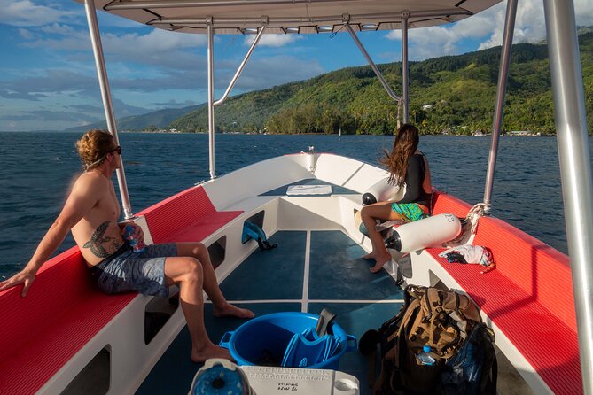 3h dolphin and snorkeling tour in a wild lagoon with Mobydick - Meet the guides on Stenella: Isabelle and Roger’s kind of help