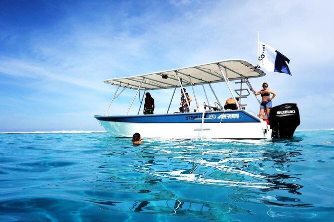 3h dolphin and snorkeling tour in a wild lagoon with Mobydick - Season and timing: November to July (and the whale option)