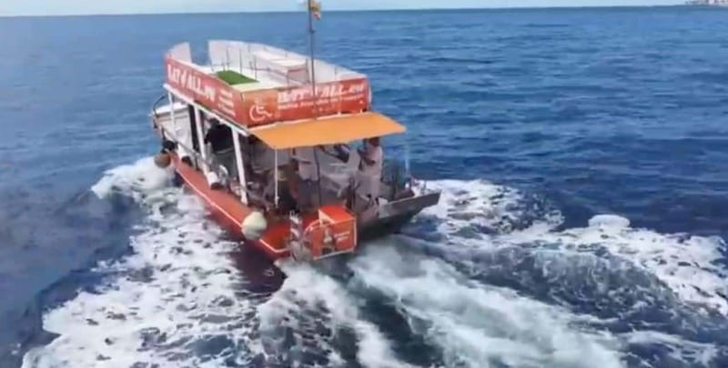 3H Shared Barrier-Free Cruise with Turtles Dolphins & Whales - Lover’s Cave and photo-stop moments with real water clarity