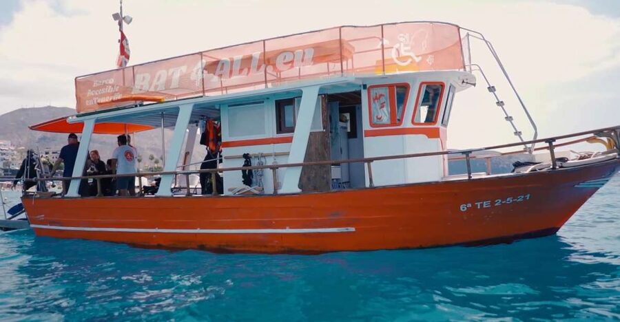 3H Shared Barrier-Free Cruise with Turtles Dolphins & Whales - Price and value: $58 per person for a highly specific boat experience