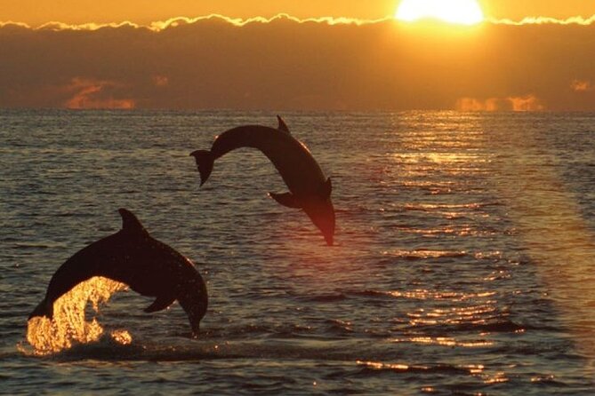 3hours all inclusive Sunset&Dolphin Tour from Medulin on Sandra - Key Points at a Glance