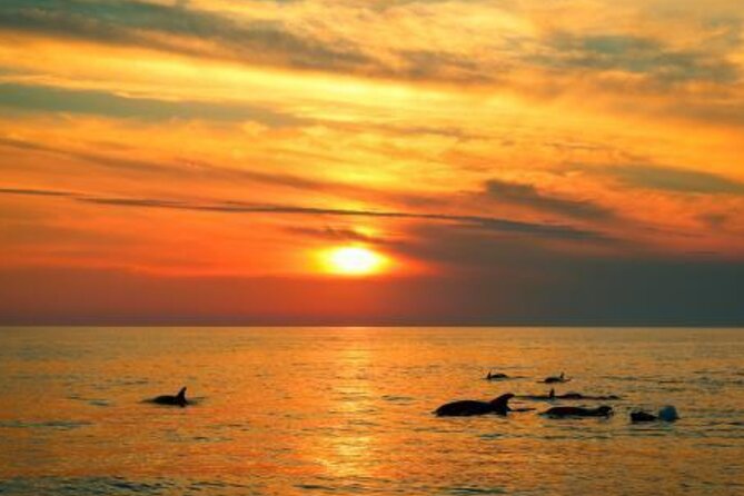 3hours all inclusive Sunset&Dolphin Tour from Medulin on Sandra - Music, Drinks, and the Deck Vibe