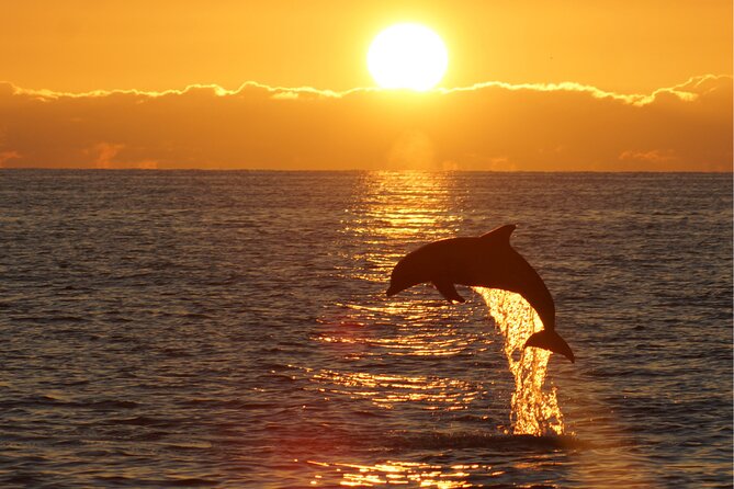 3hours all inclusive Sunset&Dolphin Tour from Medulin on Sandra - Crew Hosting: English-Friendly and Often Multilingual
