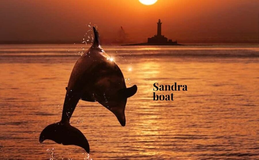 3hours Dolphin Sunset watching with unlimited drinks +dinner - Key things to know before you go