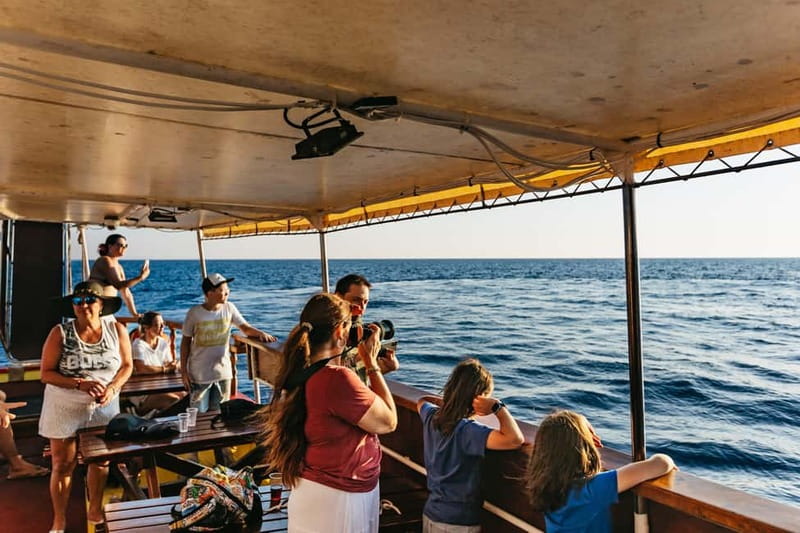 3hours Dolphin Sunset watching with unlimited drinks +dinner - Price and value: is $45 fair for this much included?