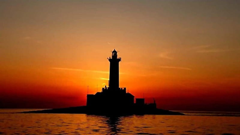 3hours Dolphin Sunset watching with unlimited drinks +dinner - Dinner on the boat: fish, meat, or vegetarian with included drinks