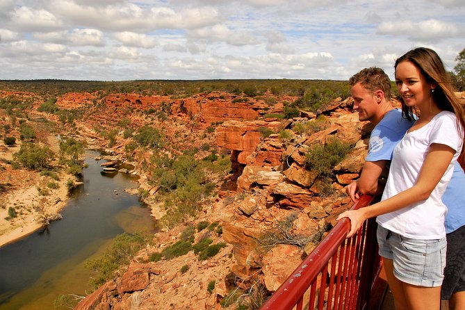 4-Day Monkey Mia Dolphins Pink Lake Pinnacles Comfort-Level Tour - Day 3: Monkey Mia dolphin time and the Shark Bay add-ons
