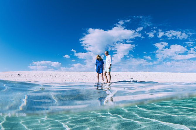 4-Day Monkey Mia Dolphins Pink Lake Pinnacles Comfort-Level Tour - Comfort tips: walking distance, heat, and packing smart