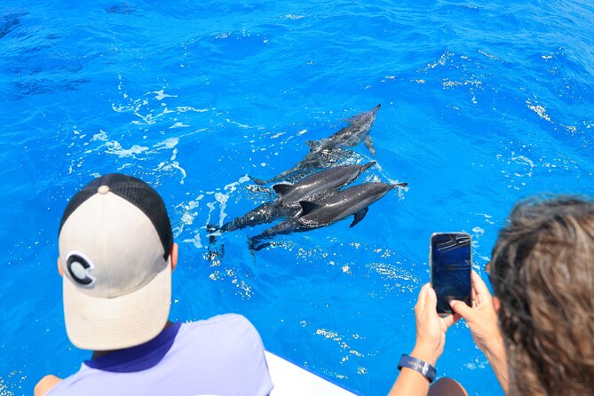 4 Hour Big Island Dolphin Watch Boat Tour, Snorkeling & BBQ Lunch - Island of Hawaii: the cruising stretch and why it helps