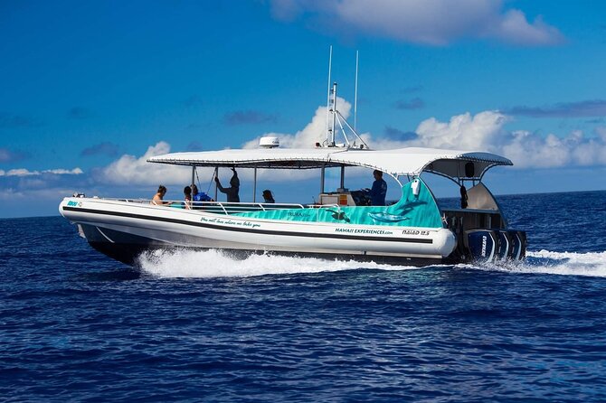 4 Hour Big Island Dolphin Watch Boat Tour, Snorkeling & BBQ Lunch - On-board BBQ lunch: filling, included, and easy