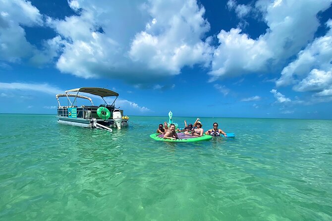 4 Hour Dolphin and Sandbar Cruise - 6 Key Highlights Before You Go