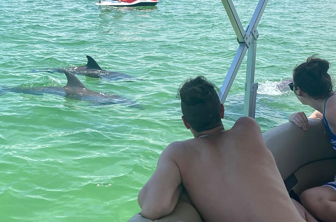 4 Hour Dolphin and Sandbar Cruise - Barrier Island Beach Break: Relaxed Coastal Time