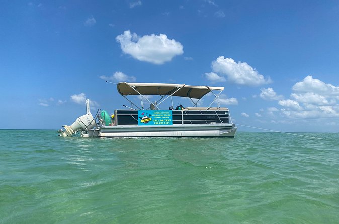 4 Hour Dolphin and Sandbar Cruise - Getting There and Making the Most of Your Morning