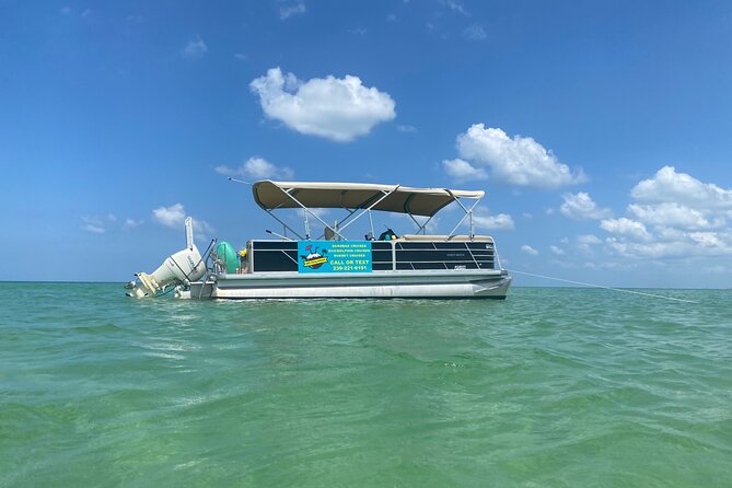 4 Hour Dolphin and Sandbar Cruise - The Sandbar and Swimming Stop: Fun, Not Just Photos