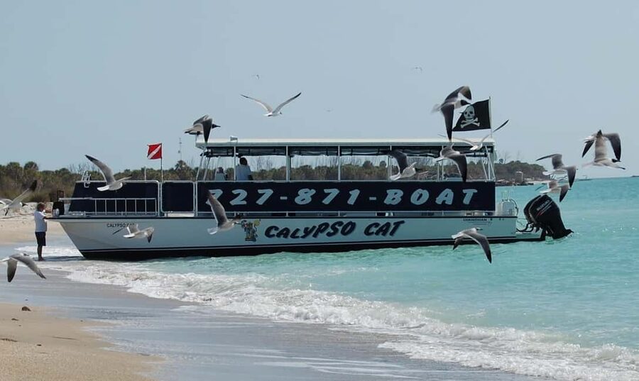 4 Hour Egmont Key Island Tour With Dolphins & Snorkeling - How the 4-hour boat day usually feels (and why timing matters)