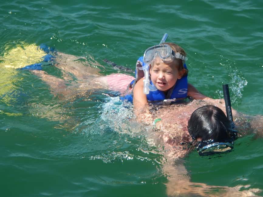4 Hour Egmont Key Island Tour With Dolphins & Snorkeling - Egmont Key and Shell Key beaches: shell hunting without the crowd drama