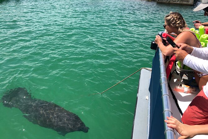 4 Hour Egmont Key Island Tour With Dolphins & Snorkeling Included - Price and value at $79: what’s included and what you should budget