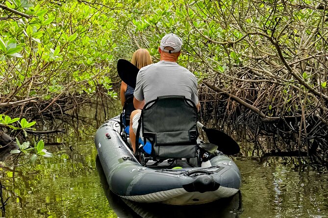 4-Hour Mangrove Island and Dolphin Watch Sandbar in Fort Pierce - The sandbar stop: wading, relaxing, and watching dolphins from close range