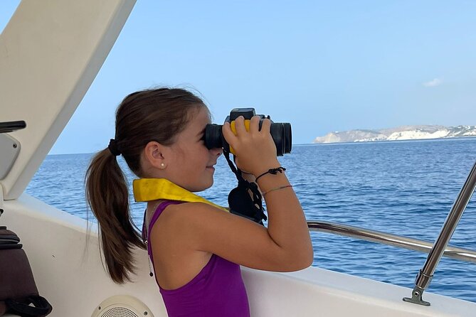 4 Hours Dolphin Watching Tour in Porto Empedocle - Key things to know before you go