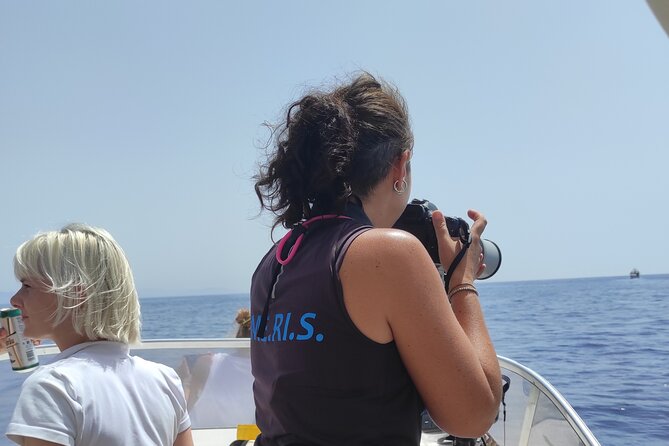 4 Hours Dolphin Watching Tour in Porto Empedocle - Researchers onboard: what you’ll learn and why it feels meaningful