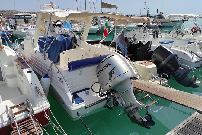 4 Hours Dolphin Watching Tour in Porto Empedocle - Agrigento coast highlights: Scala dei Turchi, Realmonte, and Torre dei Saraceni