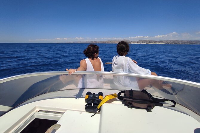 4 Hours Dolphin Watching Tour in Porto Empedocle - How the 4-hour boat trip really plays out (and why calm seas matter)