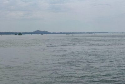 4 hours taking tuk tuk to see Mekong dolphins and countryside - Kampi village and the dolphin search: what “late afternoon” really means