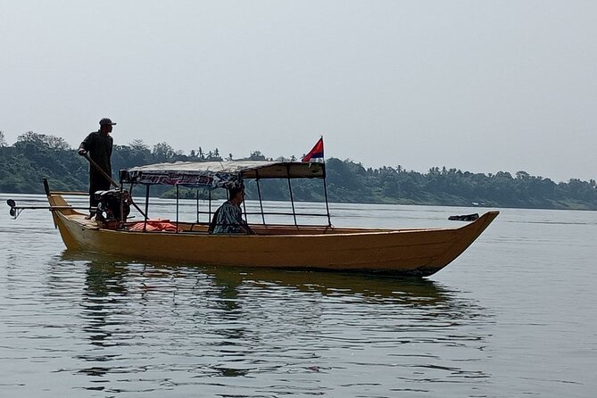 4 hours taking tuk tuk to see Mekong dolphins and countryside - Should you book the Kratie Mekong dolphin tour?
