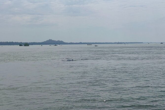 4 hours taking tuk tuk to see Mekong dolphins and countryside - Kampi village and the dolphin search: what “late afternoon” really means