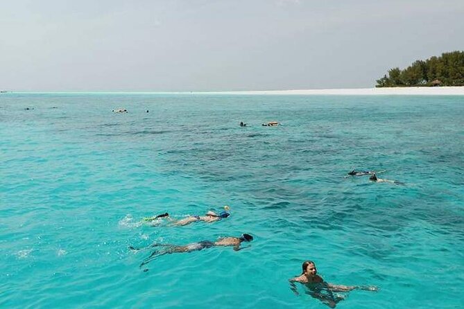 5-Hour Snorkeling, Swimming with Dolphins and Sea Turtles Aquarium - The 8am Pickup and the Bumpy-Boat Reality