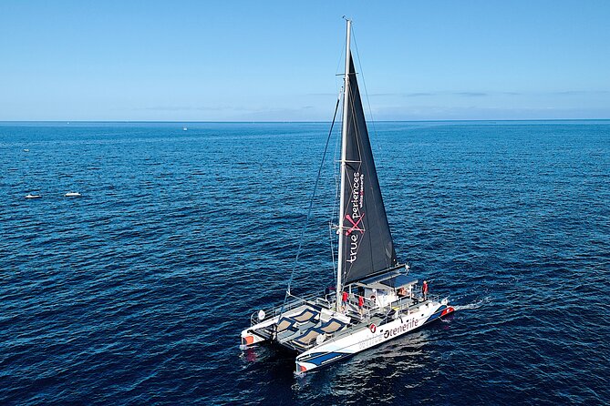 5 hr watching and listening whales and dolps. Visit Los Gigantes - Where the animals show up: listening, not just staring