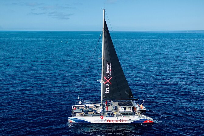5 hr watching and listening whales and dolps. Visit Los Gigantes - Masca bay time: swim, clear water, and snorkeling basics