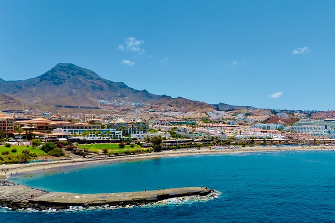 5 hr watching and listening whales and dolps. Visit Los Gigantes - Group experience: staying comfortable on a shared boat day