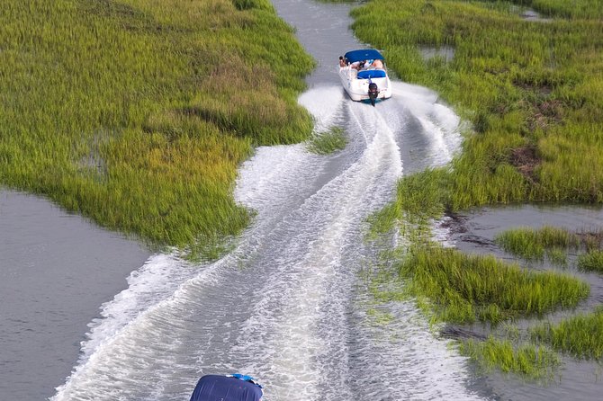 90-Minute Dolphin and Nature Tour of Hilton Head - Where You’ll Look: Broad Creek, Estuary Channels, and Marsh Wildlife