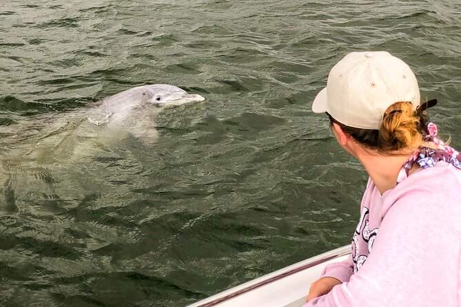 90 Minute Hilton Head Dolphin and Nature Cruise - Practical Tips That Improve Your Odds and Comfort