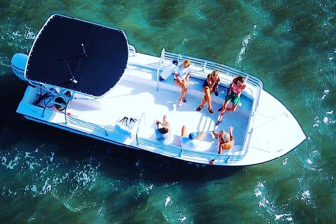 90 Minute Hilton Head Dolphin Tour - Key things to know before you go