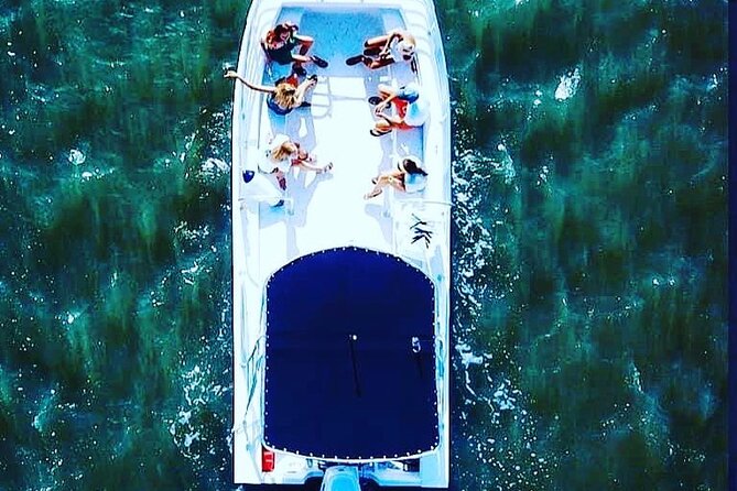 90 Minute Hilton Head Dolphin Tour - The price question: value at about $47.70 per person
