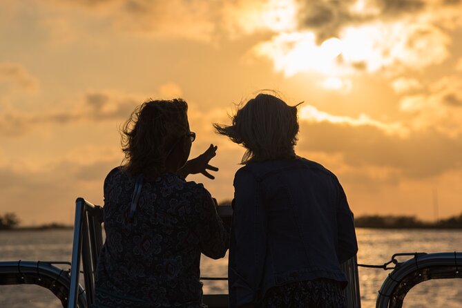 90 minute Hilton Head Sunset Dolphin Cruise - Where You Meet and How to Think About Parking