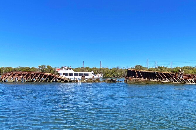 90 Minute Port River Dolphin & Ships Graveyard Cruise - Key things worth knowing before you go