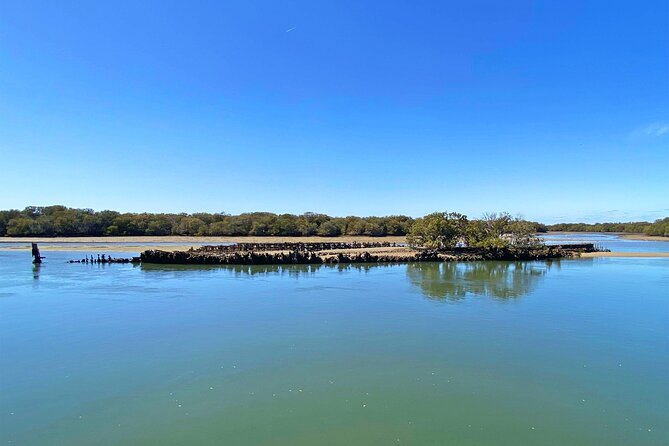 90 Minute Port River Dolphin & Ships Graveyard Cruise - Getting to McLaren Parade and Life on the Boat