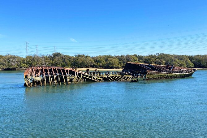90 Minute Port River Dolphin & Ships Graveyard Cruise - Adelaide Dolphin Sanctuary: How Dolphin Spotting Works Here