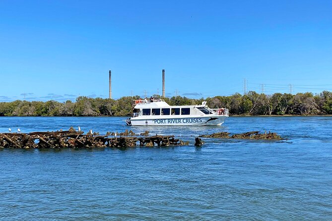 90 Minute Port River Dolphin & Ships Graveyard Cruise - Bird Sanctuary Glide-By: Coast Views Beyond the Dolphins