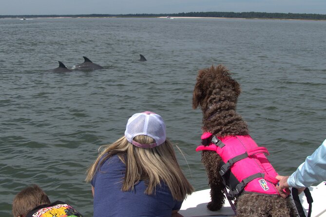 90-Minute Private Dolphin Tour in Hilton Head Island - Hilton Head private dolphin tours: why this feels more personal