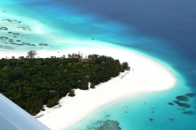 A Half Day Private Dolphins And Snorkeling Tour To Mnemba Island - Sandbank swim, photos, and Zanzibar tropical fruit