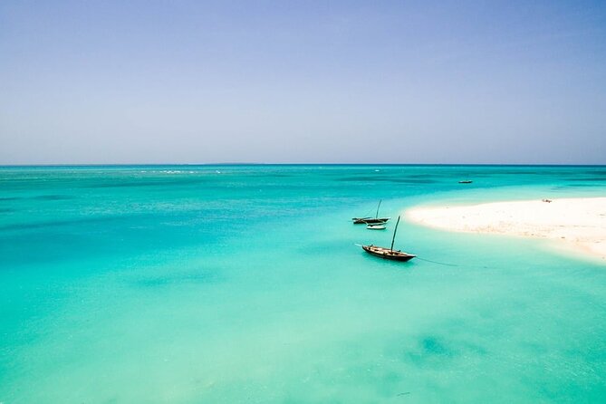 A Half Day Private Dolphins And Snorkeling Tour To Mnemba Island - Dolphin swim chance off Kizimkazi: morning is your best bet