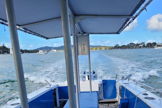 AAA Noosa National Park Tour and Dolphin Safari Whalesongsnoosa - Wildlife odds: dolphins, whales in season, and the marine-life side quests