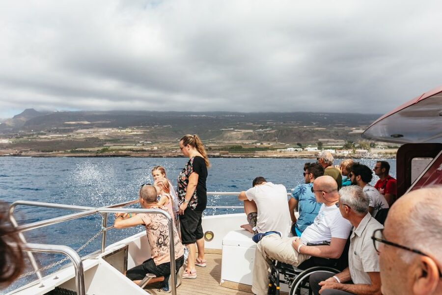 Adeje: Whale and Dolphin Watching Cruise with Lunch and Swim - Photos and souvenirs: how the onboard camera experience works