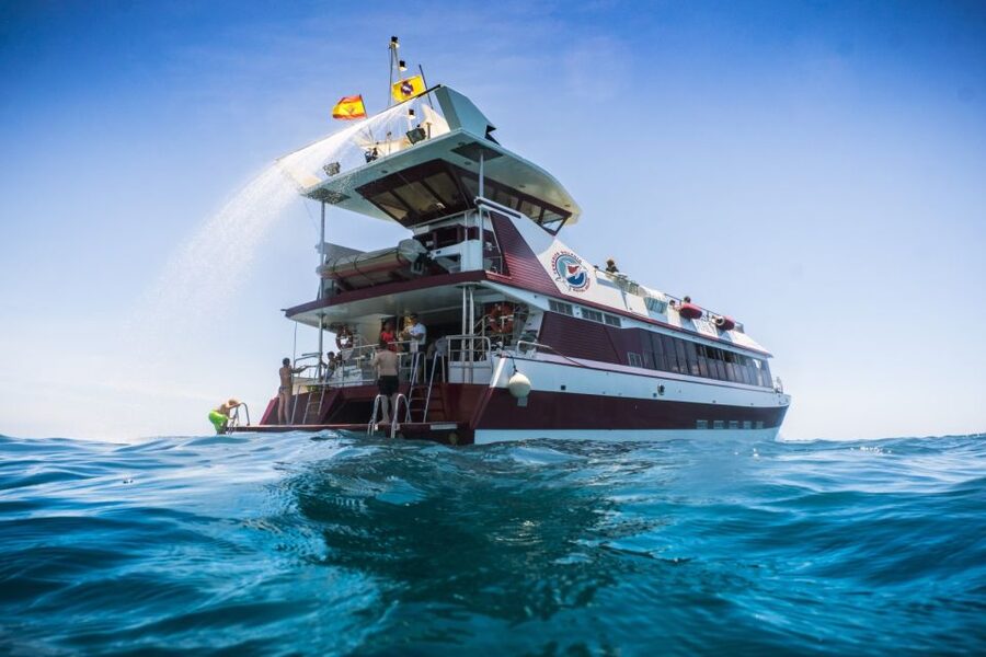 Adeje: Whale and Dolphin Watching Cruise with Lunch and Swim - Under the boat: 16 panoramic submarine windows and glass-bottom viewing