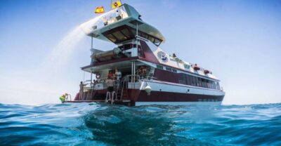 Adeje: Whale and Dolphin Watching Cruise with Lunch and Swim - From Puerto Colón out to sea: safety briefing and the early coastal views